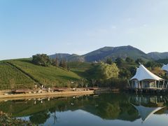 -帐篷客·溪龙茶谷度假酒店