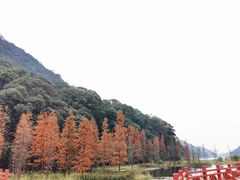 -广州市石门国家森林公园