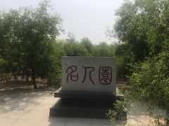 -千年枣林游览区