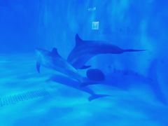 -多彩贵州城极地海洋世界