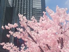 -金茂览秀城