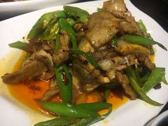 -陈麻婆豆腐总店