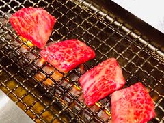 -俺的焼肉(銀座9丁目店)