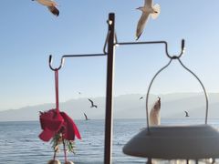 -六阅·福十 FORTEN 海景咖啡西餐厅(双廊古镇店)