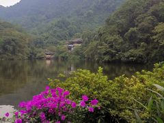 -青城山
