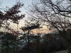 -紫金山山顶公园