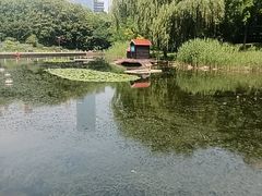 -徐家汇源景区-衡山公园