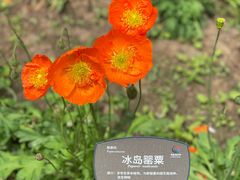 -国家植物园南园