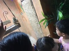-白鹿仓冰雪海洋世界