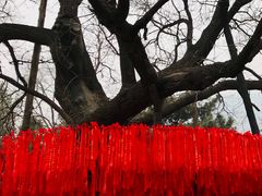 -八大处公园