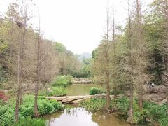 -云溪植物园
