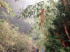 -塔云山