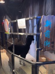 -酷嗒动物文化乐园(cutezoo西溪乐天城店)