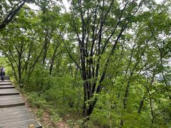 -帽儿山国家森林公园