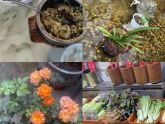 -野渡坡·极致湘菜·庭院餐厅(汉阳店)