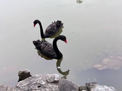 -南宁市动物园