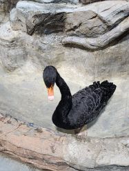 -Zoolung Zoolung动物主题公园(海信广场店)