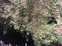 -怀托摩萤火虫洞