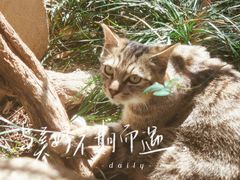 -龙华寺