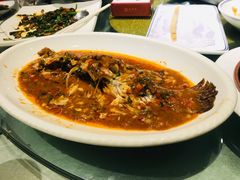 酱椒蒸鳕鱼-丽华园(汉阳龙阳店)