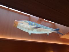 -蓝鲸湾汤泉(包河店)