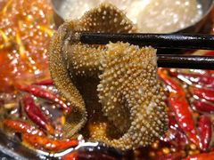 -蜀辣居鲜货老火锅(红牌楼店)
