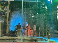 -清迈夜间动物园