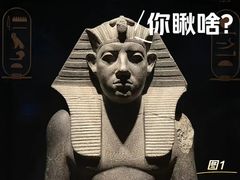 -上海博物馆(人民广场馆)