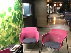 -蒙特利尔皮埃尔·埃利奥特·特鲁多国际机场