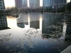 -山东大学(威海校区)