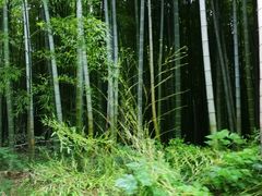 -同里国家湿地公园