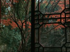 -重庆园博园