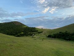-大姆山草场