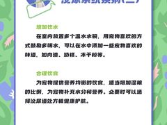 -瑞派申生动物医院·24H夜诊·国际动物医疗中心·骨外科(吴中路店)