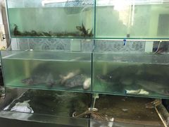 -沸腾鱼家(大尧三路店)