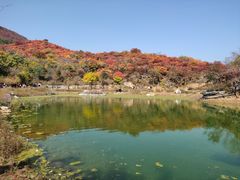 -周口店坡峰岭风景区