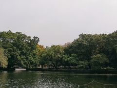 -荔湾湖公园