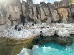-上海野生动物园