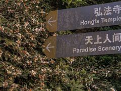 -深圳仙湖植物园