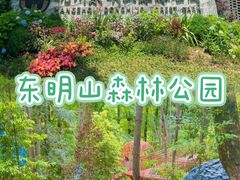 -东明山森林公园
