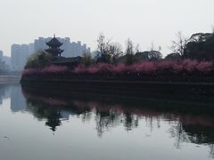 -望江楼公园