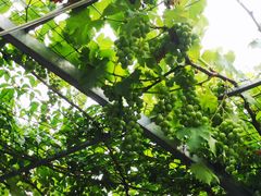 -伊隆斋(什刹海店)