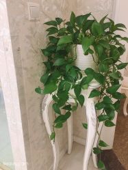 -Cocodemer女性健康·产后恢复(天一广场店)