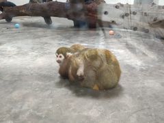 -西安秦岭野生动物园