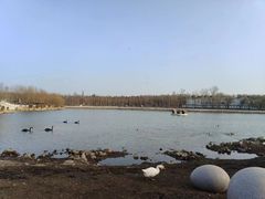 -长春市南湖公园