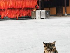 -龙华寺