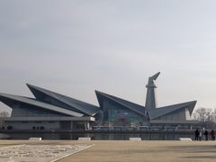 -盐城丹顶鹤湿地生态旅游区