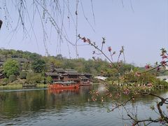 -重庆园博园