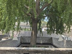 -自如ZSPACE四合院艺术餐厅