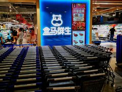 -盒马鲜生(和谐广场店)